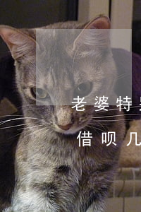 老婆特别能花钱已经欠借呗7万了-老婆欠借呗几万还不起,老公要还吗