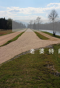老婆特能做作离婚(老婆天天提离婚)