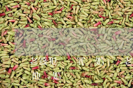 老婆犯詐騙罪離婚難嗎(老公有詐騙罪可以和他離婚嗎)