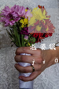 老婆狠心要離婚理由是不想跟我過(老婆堅(jiān)持要和我離婚,我該怎么辦呢?)