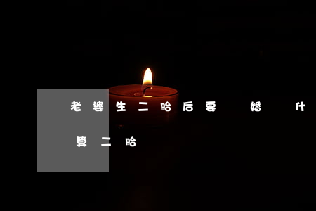 老婆生二胎后要離婚為什么(離婚了再生孩子算二胎嗎)