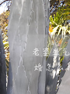 老婆生气了要离婚怎么挽回(老婆生气了要离婚怎么挽回我们还有两个孩子)