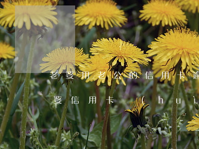 老婆用老公的信用卡逾期(老公信用卡逾期老婆信用卡會(huì)影響嗎)