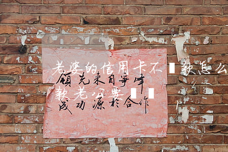 老婆的信用卡不還款怎么辦(老婆的信用卡欠款,老公要還嗎)