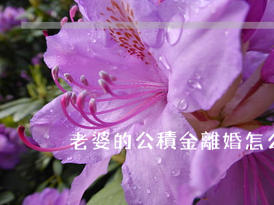 老婆的公積金離婚怎么辦