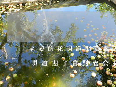 老婆的花唄逾期影響老公嗎去回答-老婆花唄逾期了,會對老公有影響嗎?