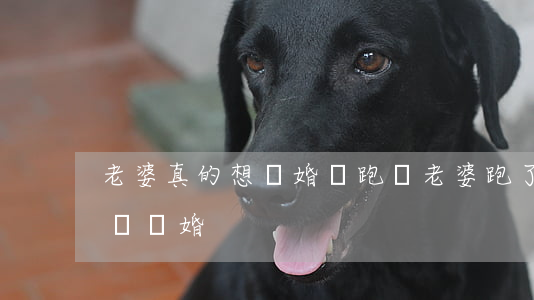 老婆真的想離婚會跑嗎(老婆跑了多久可以起訴離婚)
