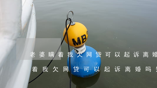 老婆瞒着我欠网贷可以起诉离婚吗-老婆瞒着我欠网贷可以起诉离婚吗知乎