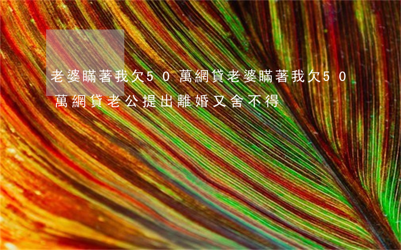 老婆瞞著我欠50萬網貸(老婆瞞著我欠50萬網貸,老公提出離婚,又舍不得)