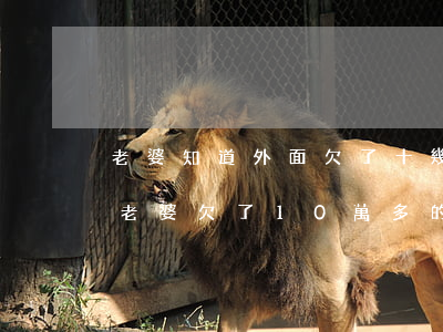 老婆知道外面欠了十幾萬網(wǎng)貸(老婆欠了10萬多的網(wǎng)貸)