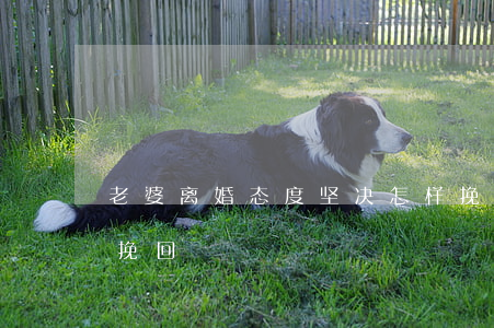 老婆离婚态度坚决怎样挽回(离婚了老婆如何挽回)