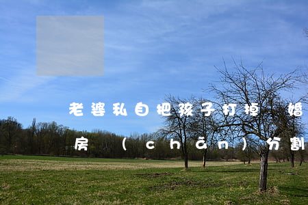 老婆私自把孩子打掉離婚分房子(夫妻離婚后房產(chǎn)分割孩子有沒(méi)有)