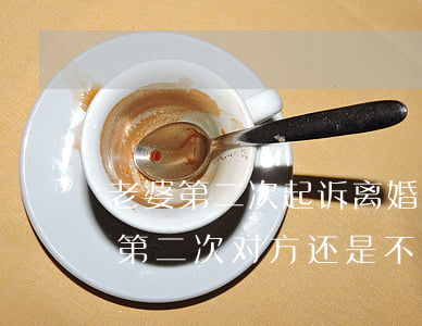 老婆第二次起诉离婚我该如何应对(起诉离婚第二次对方还是不离婚怎么办)