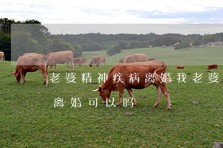 老婆精神疾病离婚(我老婆是精神病患者我想离婚可以吗)