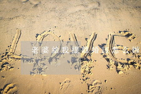 老婆給我提離婚該怎么辦