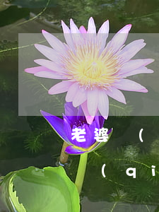 老婆經(jīng)營(yíng)公司欠錢(qián)可起訴他老公嗎-老婆經(jīng)營(yíng)公司欠錢(qián)可起訴他老公嗎怎么辦