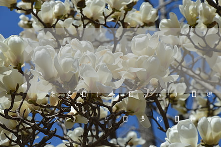 老婆網(wǎng)貸坦白欠10多萬(老婆欠了10萬多的網(wǎng)貸)