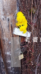 老婆網(wǎng)貸欠了20萬