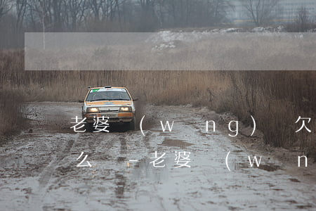老婆網(wǎng)貸欠了80多萬我該怎么辦-老婆網(wǎng)貸欠了80多萬我該怎么辦呢