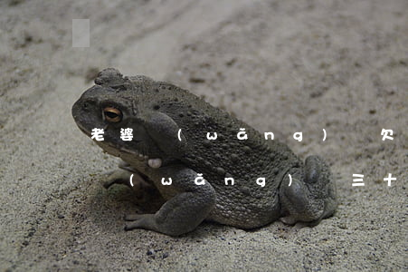 老婆網(wǎng)貸欠了二十多萬(媳婦欠網(wǎng)貸三十萬我該怎么辦)
