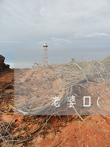 老婆網(wǎng)貸百萬最近總吵著離婚