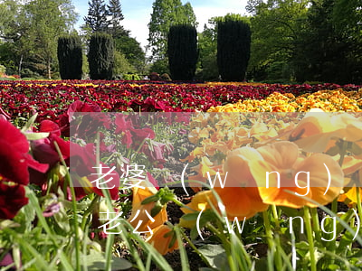 老婆網(wǎng)貸逾期影響老公貸款嗎(老公網(wǎng)貸逾期對(duì)老婆買(mǎi)房有什么影響)