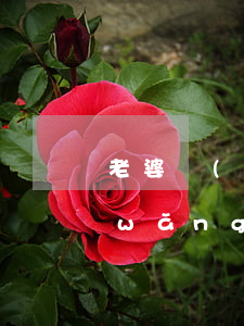 老婆網(wǎng)貸還不起(老婆欠了網(wǎng)貸該不該離婚)