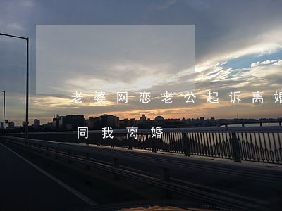 老婆网恋老公起诉离婚(老婆网恋不能自拔要同我离婚)