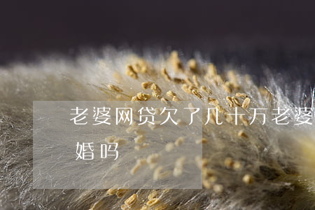 老婆网贷欠了几十万(老婆欠了很多网贷该离婚吗)