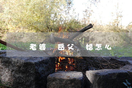 老婆罵岳父離婚怎么辦