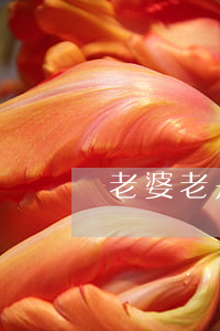 老婆老是罵我離婚怎么辦