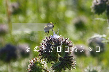 老婆老是說離婚怎么辦