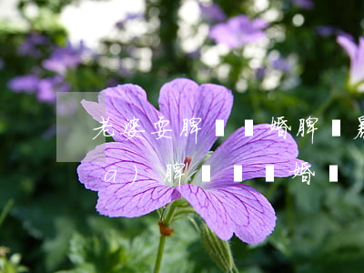 老婆耍脾氣離婚(脾氣暴躁的老婆天天發(fā)脾氣該離婚嗎)