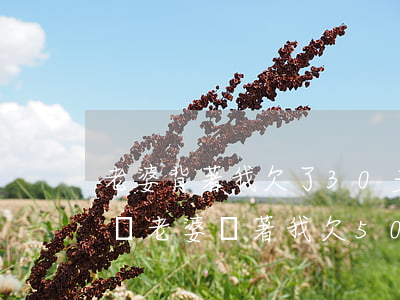 老婆背著我欠了30多萬的網(wǎng)貸(老婆瞞著我欠50萬網(wǎng)貸)