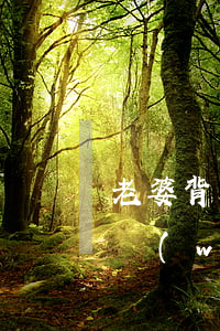 老婆背著我欠了好多網(wǎng)貸(總有網(wǎng)貸說我老公欠款)