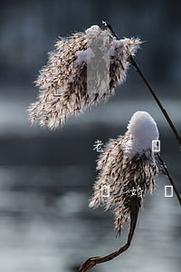 老婆腦出血能提出離婚嗎(老婆腦出血能提出離婚嗎)