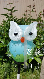 老婆花唄逾期影響孩子嗎(花唄逾期嚴(yán)重會影響孩子以后的信譽嗎?)