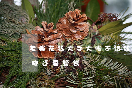 老婆花钱大手大脚不给钱就离婚(老婆大手大脚还要管钱)