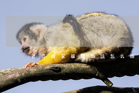 老婆被家暴離婚該怎么辦