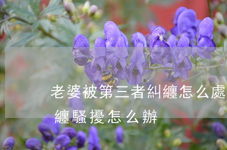 老婆被第三者糾纏怎么處理(面對第三者的糾纏騷擾怎么辦)