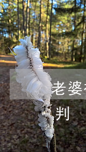 老婆被騙假離婚(丈夫騙妻子假離婚法院怎么判)