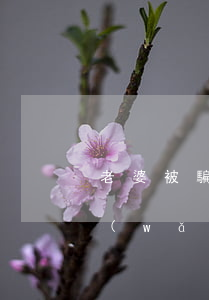 老婆被騙欠了網(wǎng)貸怎么辦(被網(wǎng)貸騙了怎么辦?)