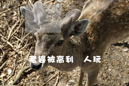 老婆被高利貸人玩