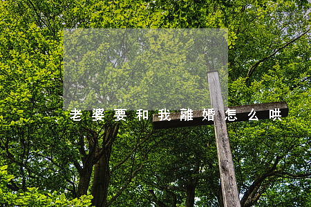 老婆要和我離婚怎么哄