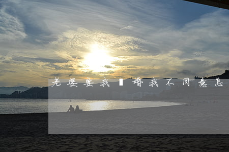老婆要我離婚我不同意怎么辦