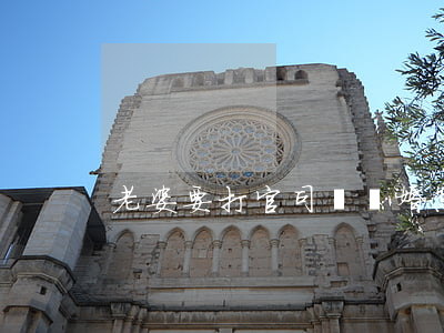 老婆要打官司鬧離婚怎么辦