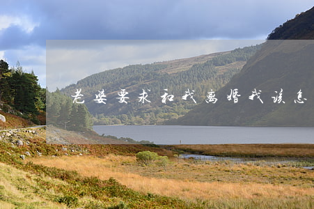 老婆要求和我离婚我该怎么办