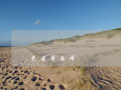 老婆要离婚