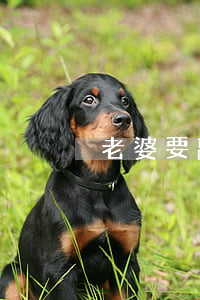 老婆要離婚一個(gè)月怎么辦