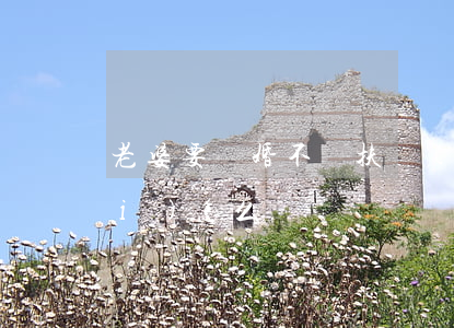 老婆要離婚不給扶養(yǎng)費(fèi)怎么辦